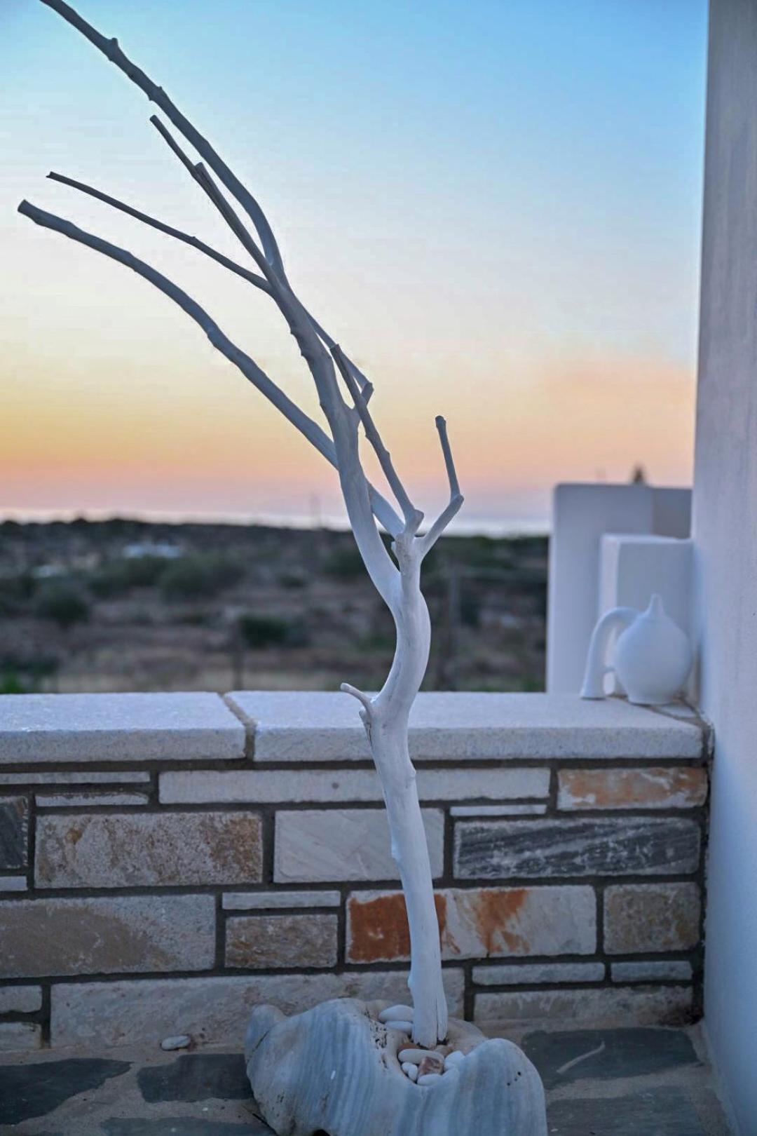 'Sophie'S Villa' Akrotiri  Exterior foto