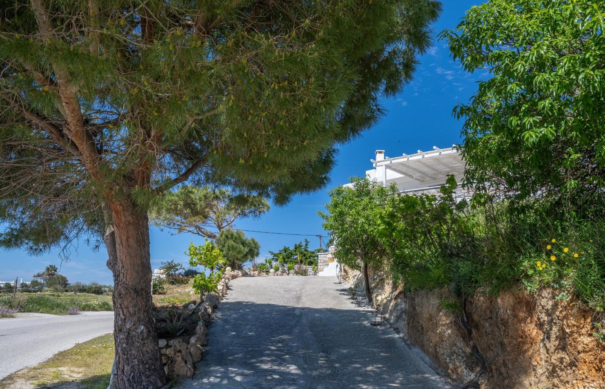 'Sophie'S Villa' Akrotiri  Exterior foto